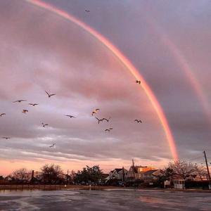 关晓彤玩弄奶头
