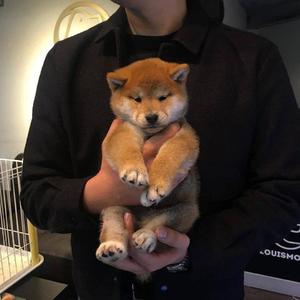 关晓彤玩弄奶头
